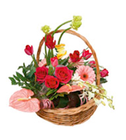 Basket Arrangement 