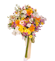 Bouquet of Seasonal Flowers