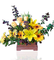 Arrangement of Cut Flowers