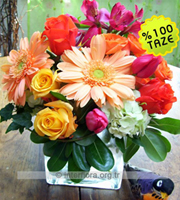 Arrangement of Cut Flowers