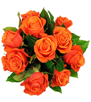 Affection - 12 Orange Roses