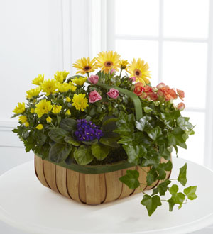 The FTD� Gentle Blossoms� Basket