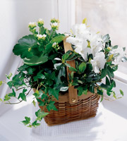 The FTD� White Assortment Basket