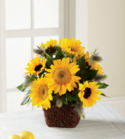 The FTD� Perfect Sun� Bouquet