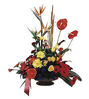 Arrangement of Mixed Cut Flowers