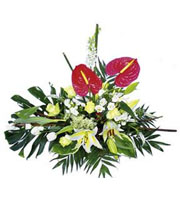 Arrangement of Cut Flowers