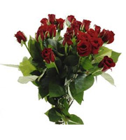 Bouquet of Red Roses