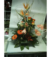 Arrangement of Mixed Cut Flowers