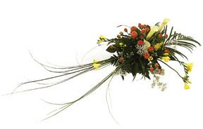 Arrangement of Cut Flowers