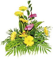 Arrangement of Cut Flowers