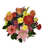 Mixed Cut Flowers