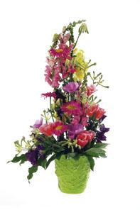 Arrangement of Mixed Cut Flowers