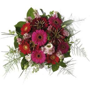 Bouquet of Mixed Cut Flowers