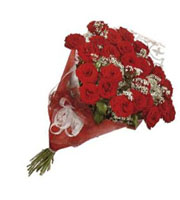 Bouquet of Red Roses, no vase