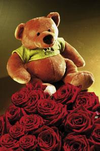 7 Roses and Teddy Bear