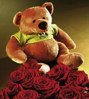 7 Roses and Teddy Bear