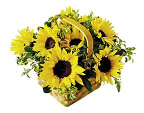 The FTD� Sunflower Basket