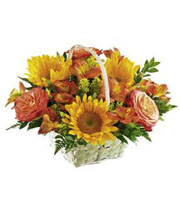 The FTD� Happy Blooms� Basket