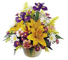 The FTD� Natural Wonders� Bouquet