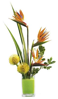 The FTD� Tropical Bright� Arrangement