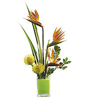 The FTD� Tropical Bright� Arrangement