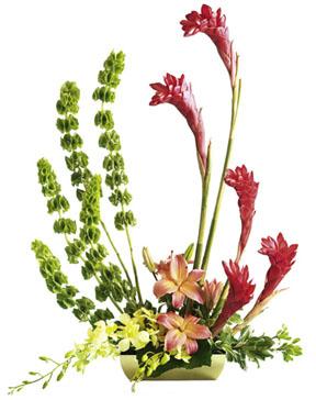 The FTD� Touch of Tropics� Arrangement