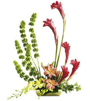 The FTD� Touch of Tropics� Arrangement