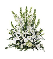 The FTD� Morning Stars � Arrangement