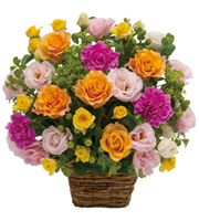 Arrangement of Multicolored Flowers