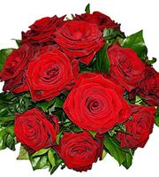 Tantalizing 12 Roses