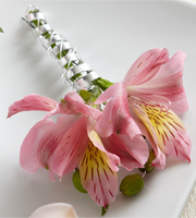 The FTD� Pink Peruvian Lily Boutonniere