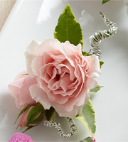 The FTD� Pink Spray Rose Boutonniere