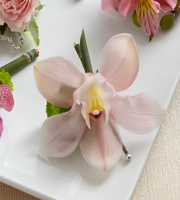 The FTD� Pink Cymbidium Boutonniere