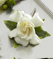 The FTD� Gardenia Boutonniere