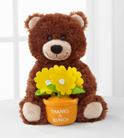 Thanks a Bunch Message Bear by Build-A-Bear Workshop�