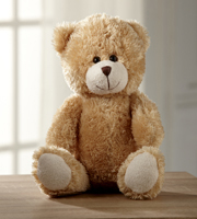 Hugs for You Plush Bear