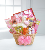 Special Stork Delivery Baby Girl Basket