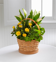 The FTD� Cheerful Wishes Blooming Basket by Better Homes and Gardens�