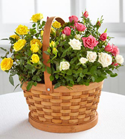 The Better Homes and Gardens� Rose Garden Basket